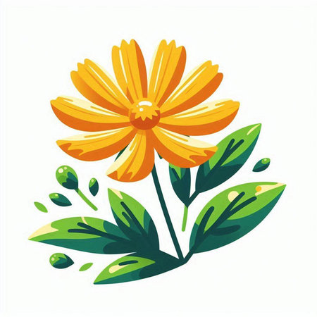 Illustration of a yellow flower with green leaves on a white backgroundのイラスト素材