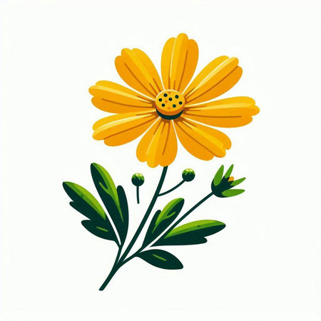 Daisy flower isolated on white background. Hand drawn vector illustration.のイラスト素材