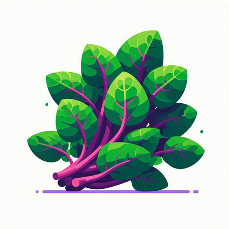 Bunch of fresh spinach isolated on white background. Vector illustration.のイラスト素材