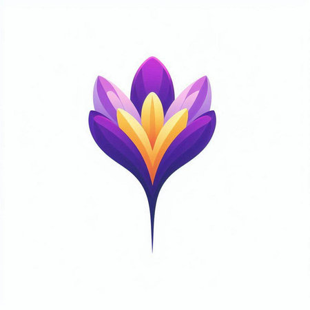 Beautiful crocus flower isolated on white background. Vector illustration.のイラスト素材