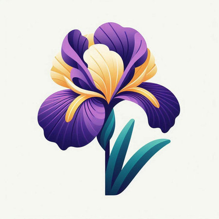 Violet iris flowers on a white background. Vector illustration.のイラスト素材