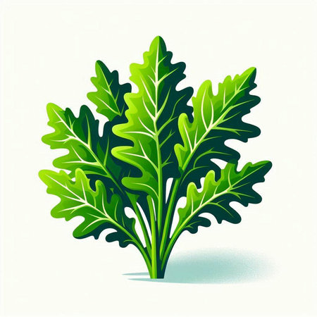 Green arugula leaves isolated on white background. Vector illustration.のイラスト素材