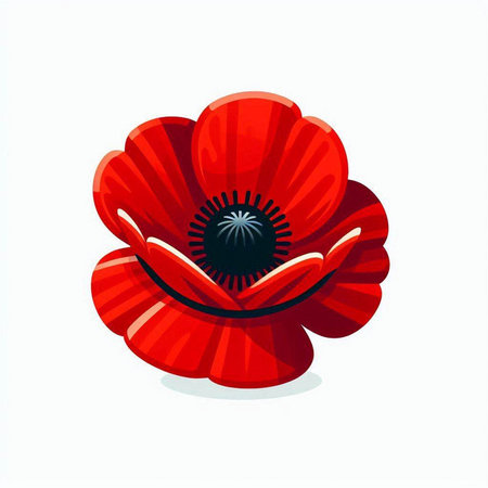 Red poppy flower isolated on white background. Vector illustration in cartoon style.のイラスト素材