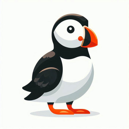 Puffin isolated on a white background. Vector illustration in cartoon style.のイラスト素材