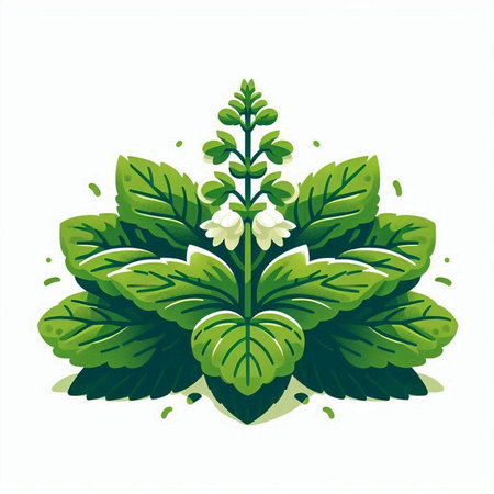 Lily of the valley. Vector illustration on a white background.のイラスト素材