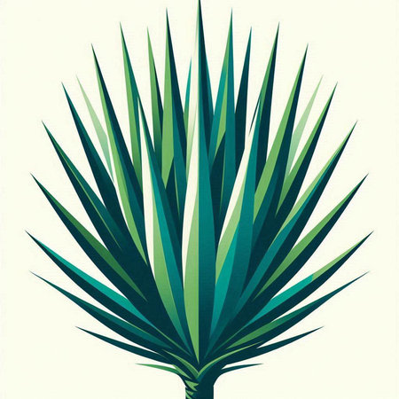 Illustration of a green palm leaf on a white background, vector illustrationのイラスト素材