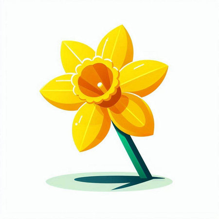 Yellow daffodil isolated on white background. Vector illustration.のイラスト素材