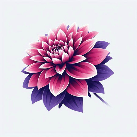 Illustration of pink dahlia flower on a white background.のイラスト素材