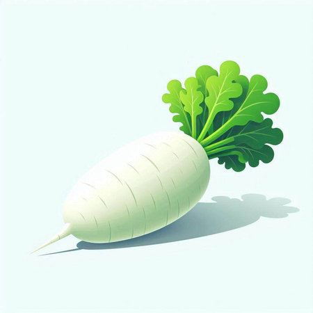 Daikon radish on a blue background. Vector illustration.のイラスト素材
