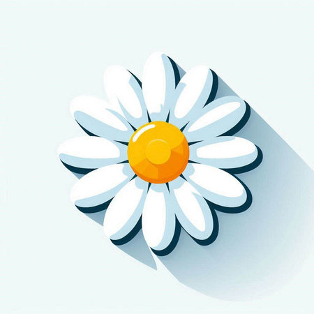 Daisy flower icon. Vector illustration. Eps 10. Isolated on white background.のイラスト素材
