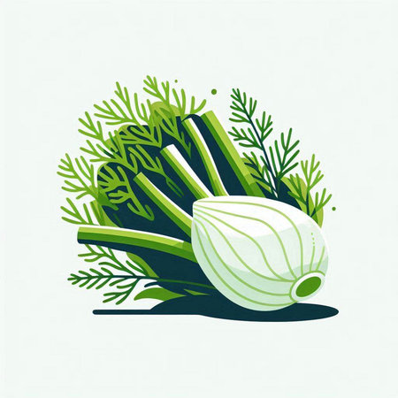 Vegetables, fennel and dill. Vector illustration.のイラスト素材