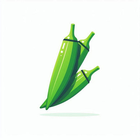 Illustration of green okra on white background. Vector illustration.のイラスト素材