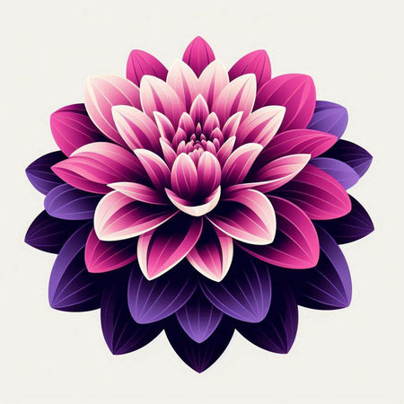 Beautiful pink dahlia flower on white background. Vector illustration.のイラスト素材