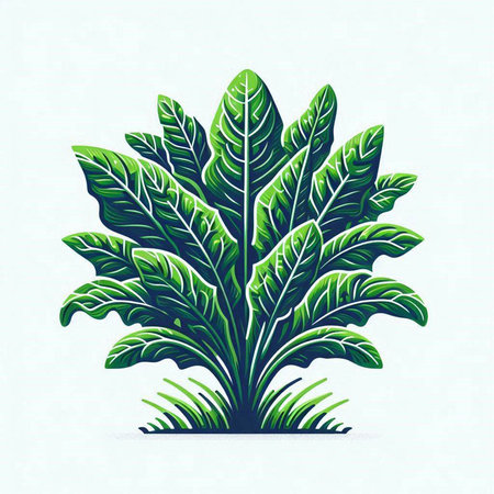 Illustration of a green tropical plant on a white background, vector illustrationのイラスト素材