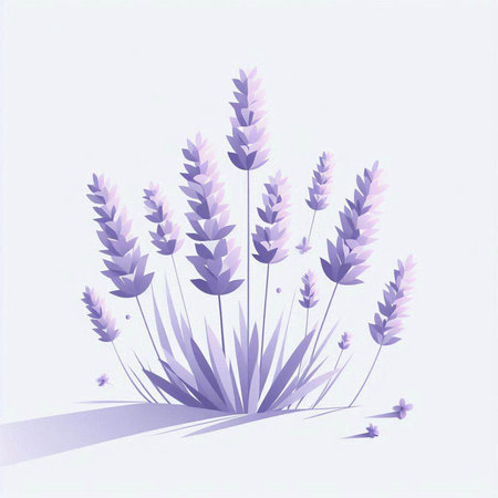 Lavender flowers isolated on a white background. Vector illustration.のイラスト素材