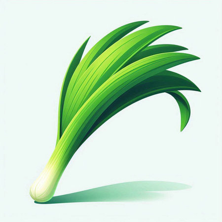 Vector illustration of fresh green leek on white background with shadow.のイラスト素材