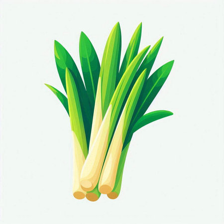 Fresh green leek on a white background. Vector illustration. Eps 10のイラスト素材
