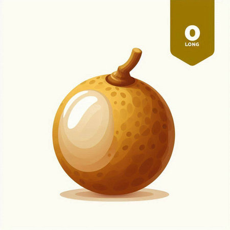 Santol fruit isolated on white background. Vector illustration. Eps 10.のイラスト素材