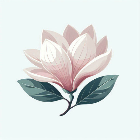 Magnolia flower. Vector illustration, isolated on a white background.のイラスト素材