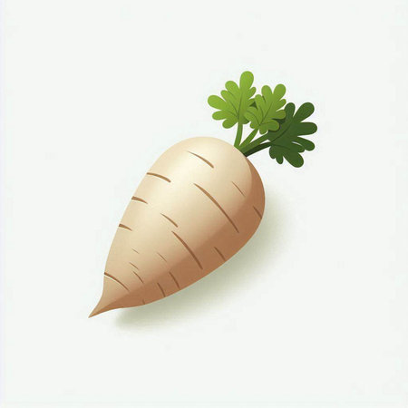 White carrot on a white background. Vector illustration. Eps 10.のイラスト素材