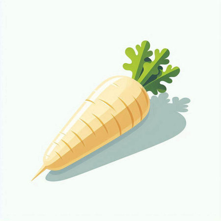 Illustration of a carrot with shadow on a white background - vectorのイラスト素材
