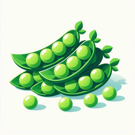 Green peas isolated on white background. Vector illustration. Eps 10.のイラスト素材