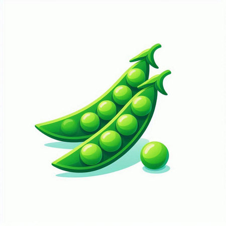 Green peas isolated on a white background. Vector illustration. Eps 10.のイラスト素材