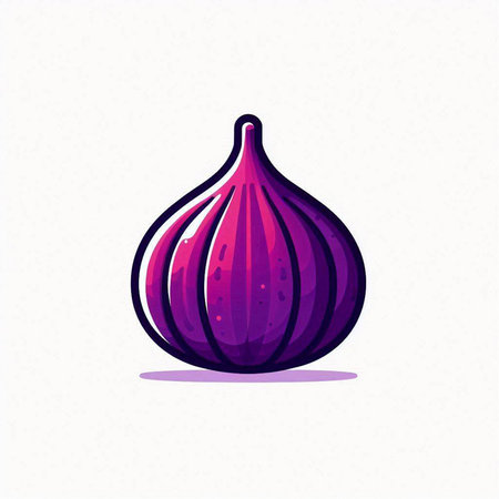 Illustration of a purple fig on a white background. Vector illustrationのイラスト素材
