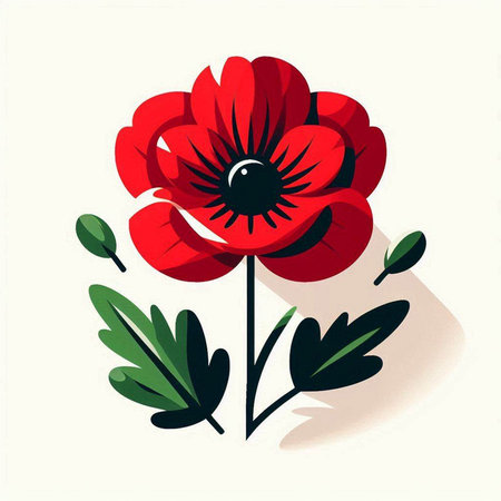 Beautiful red anemone flower on white background. Vector illustration.のイラスト素材