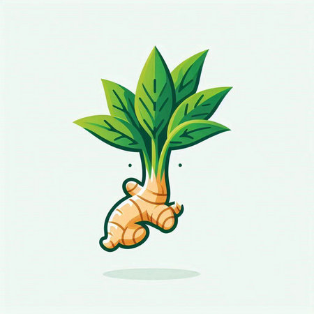 ginger root and green leaves, healthy food, vector illustration.のイラスト素材