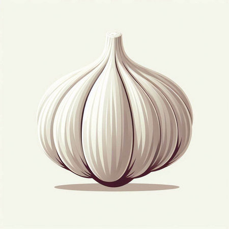 Garlic icon. Vector illustration, eps 10, no transparencyのイラスト素材