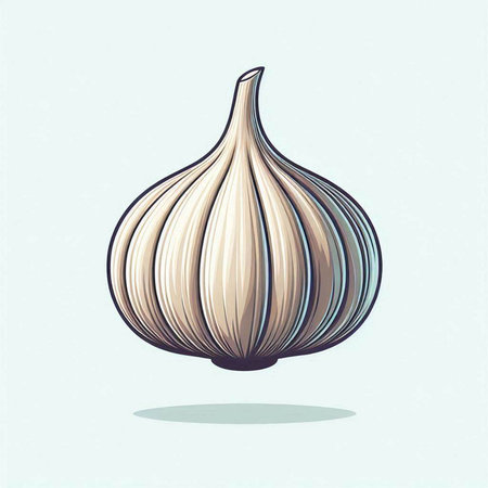 Garlic vector illustration. Isolated on white background. Vector illustration.のイラスト素材