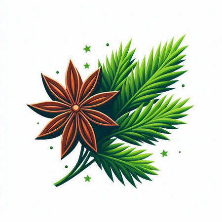 Christmas card with star anise and fir branches. Vector illustration.のイラスト素材