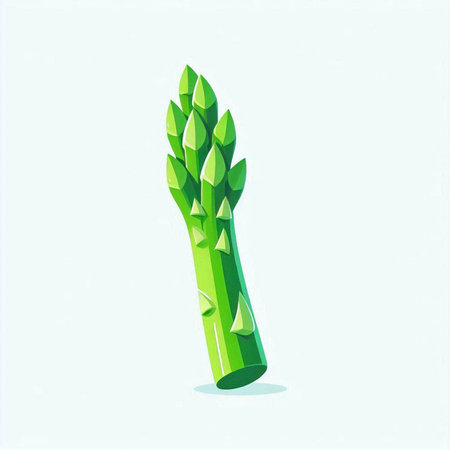 Green asparagus. Vector illustration on a light blue background.のイラスト素材