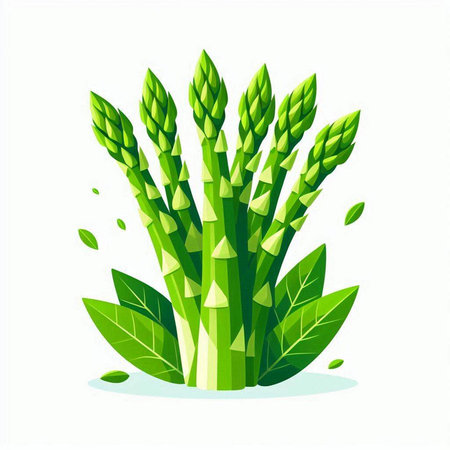 Vector illustration of a bunch of green asparagus on a white backgroundのイラスト素材
