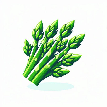 Green asparagus isolated on a white background. Vector illustration.のイラスト素材