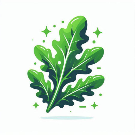 Fresh green arugula leaves isolated on white background. Vector illustration.のイラスト素材