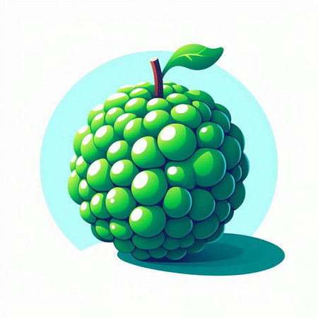 Citrus fruit vector illustration. Cucumis sativus.のイラスト素材