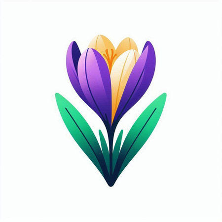 Spring crocus flower isolated on a white background. Vector illustration.のイラスト素材
