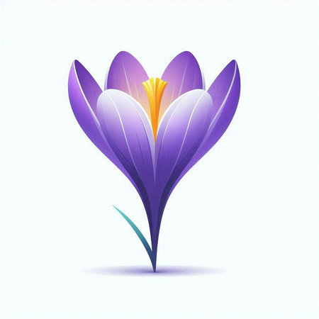 Purple crocus flower isolated on white background. Vector illustration.のイラスト素材