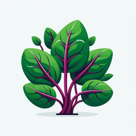 Vector illustration of a green leafy plant on a white background.のイラスト素材