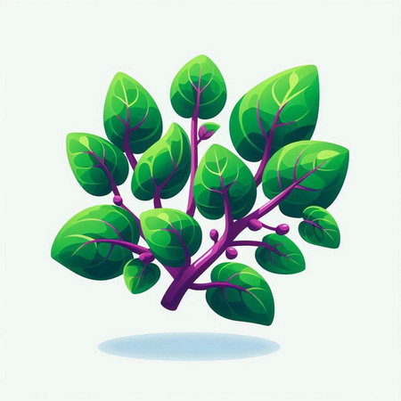 Illustration of a bunch of fresh basil leaves on a white backgroundのイラスト素材