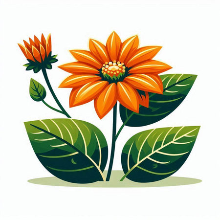 Beautiful orange flower with green leaves on white background. Vector illustration.のイラスト素材