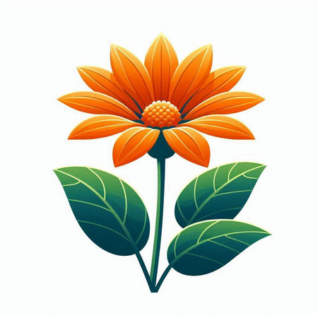 beautiful orange daisy flower isolated on white background, vector illustrationのイラスト素材