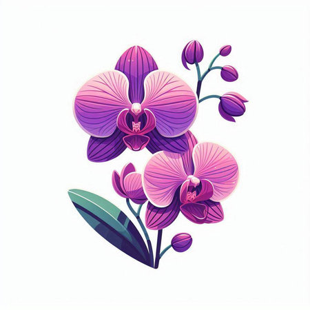 Orchid flowers isolated on white background. Vector illustration in cartoon style.のイラスト素材