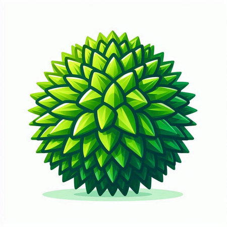 Vector illustration of a green durian isolated on a white background.のイラスト素材