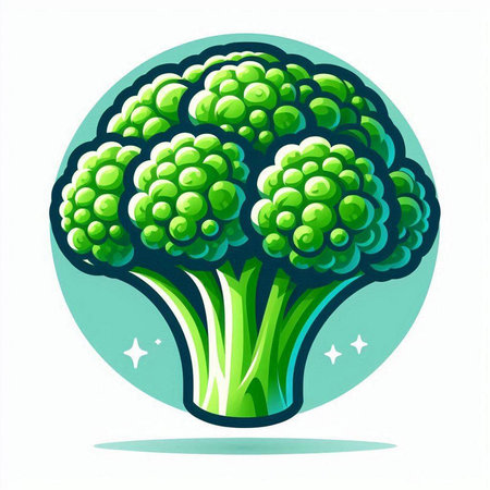 Broccoli icon. Broccoli vector icon. Broccoli vector iconのイラスト素材