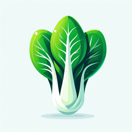 Bok choy vector illustration. Healthy food. Vegetarian food.のイラスト素材