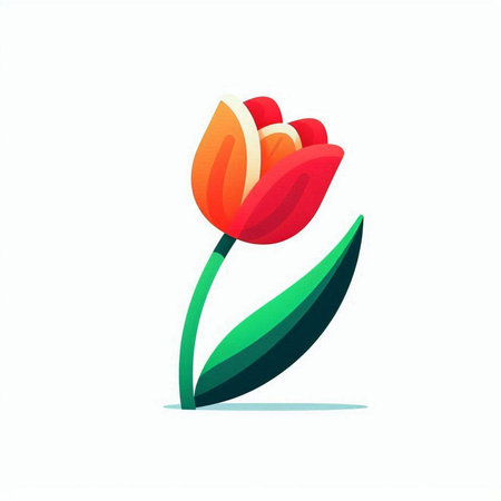 Red tulip with green leaves on a white background. Vector illustration.のイラスト素材