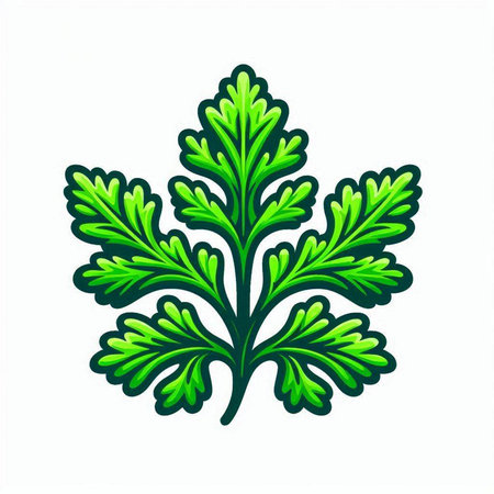 Green leaf of parsley on a white background. Vector illustration.のイラスト素材